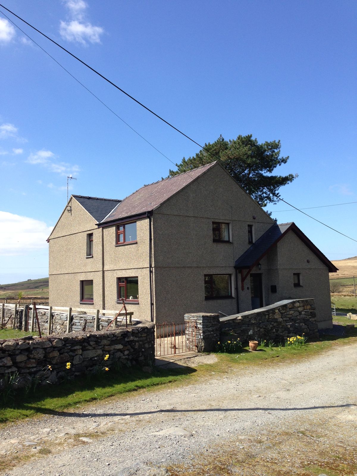 The front of the farmhouse in spring, with daffodils along the wall