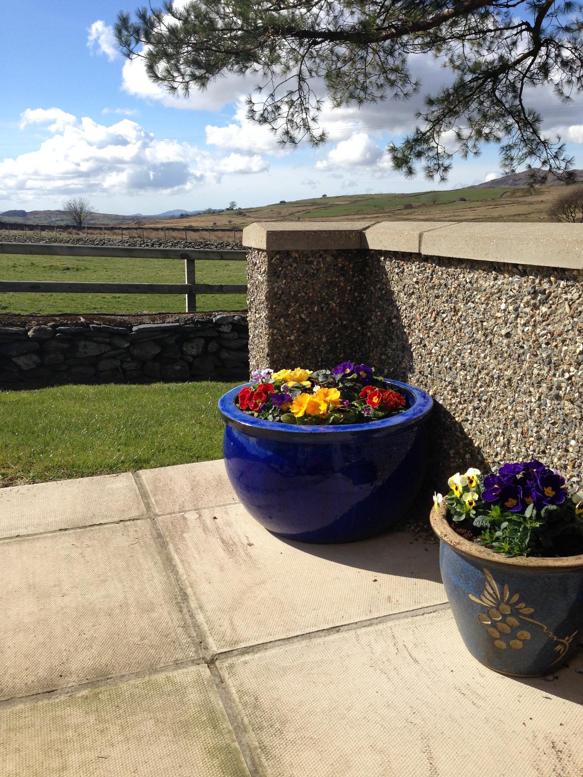 Potted flowers on the garden patio, with the valley beyond